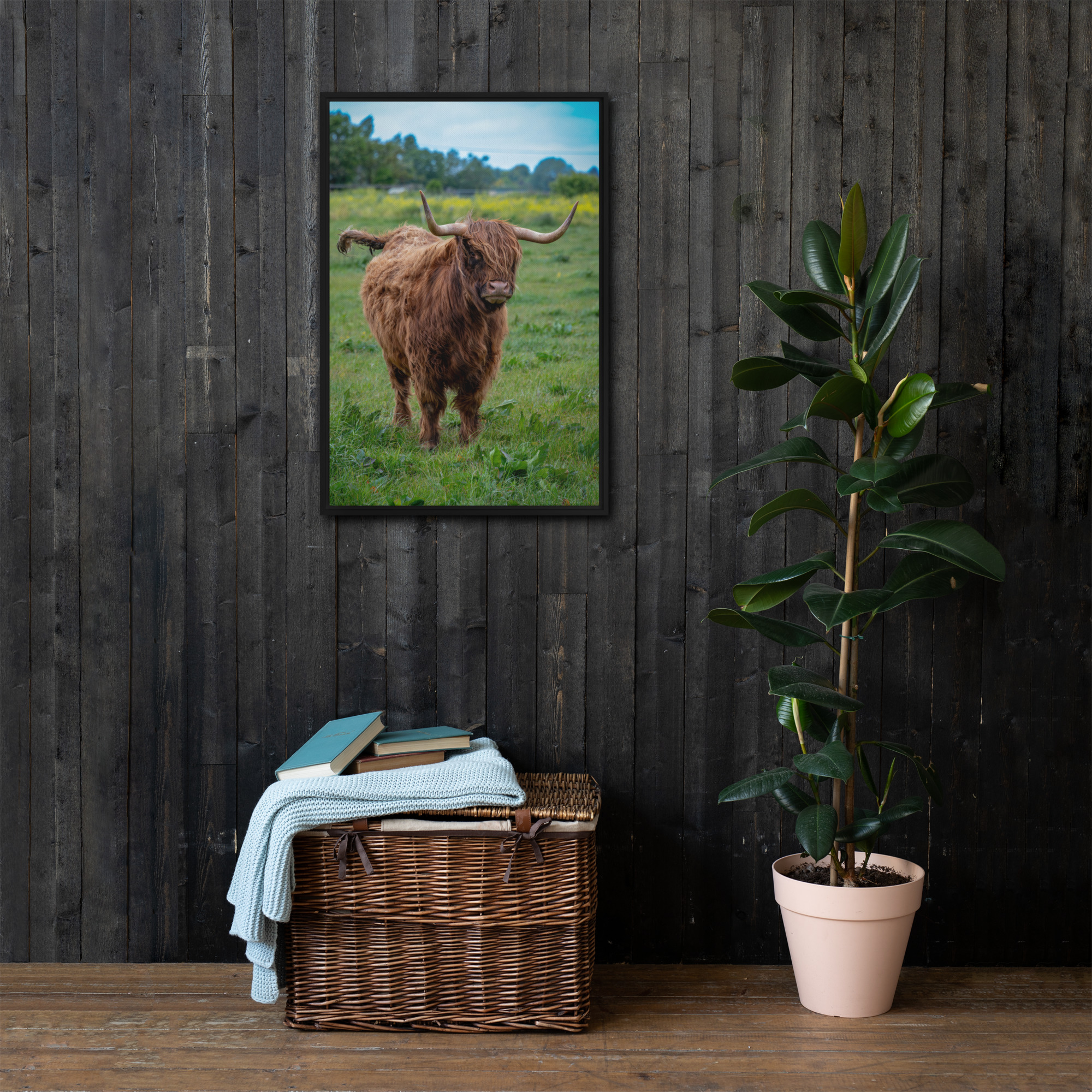 Horned Highland Cow - Framed canvas fine art print - Image 2