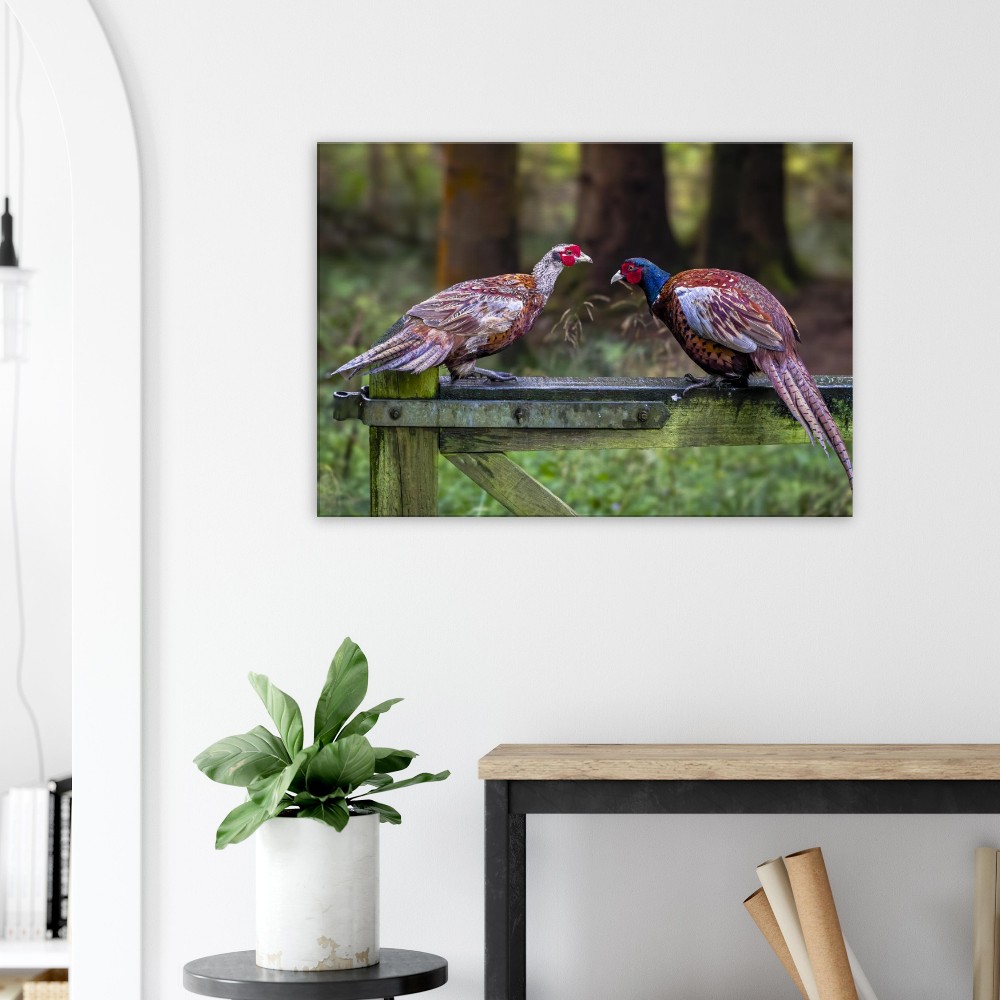 A Brace Of Pheasants - Fine art Canvas print - Image 4