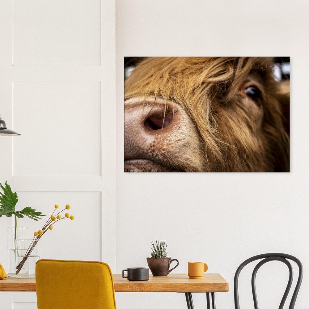 Highland Cow Nose - Fine art Canvas print - Image 4