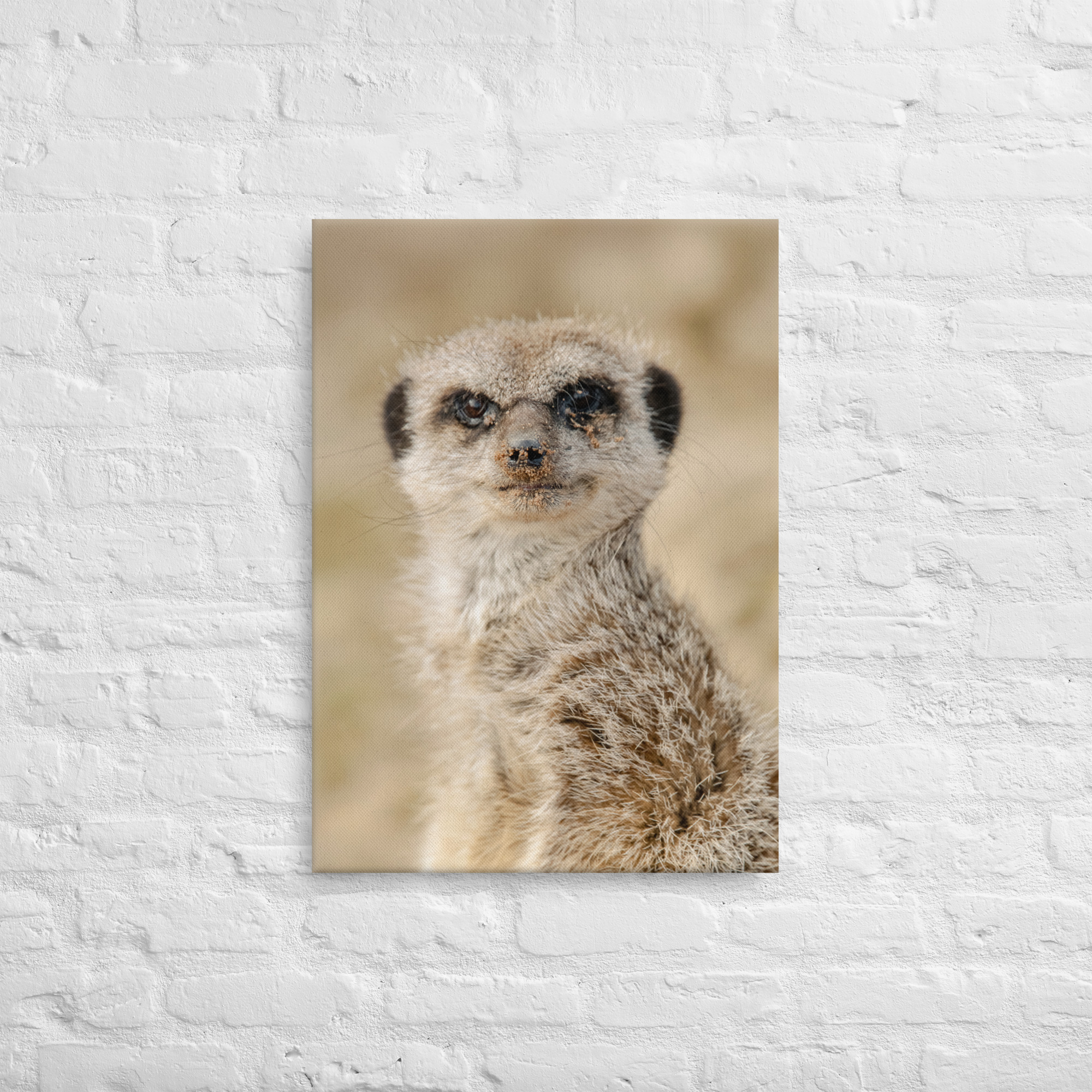 Dream Meercat - Thin fine art canvas - Image 5