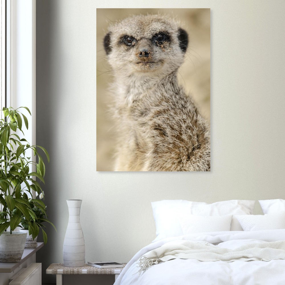 Dreamy Meercat - Aluminum fine art Print - Image 2