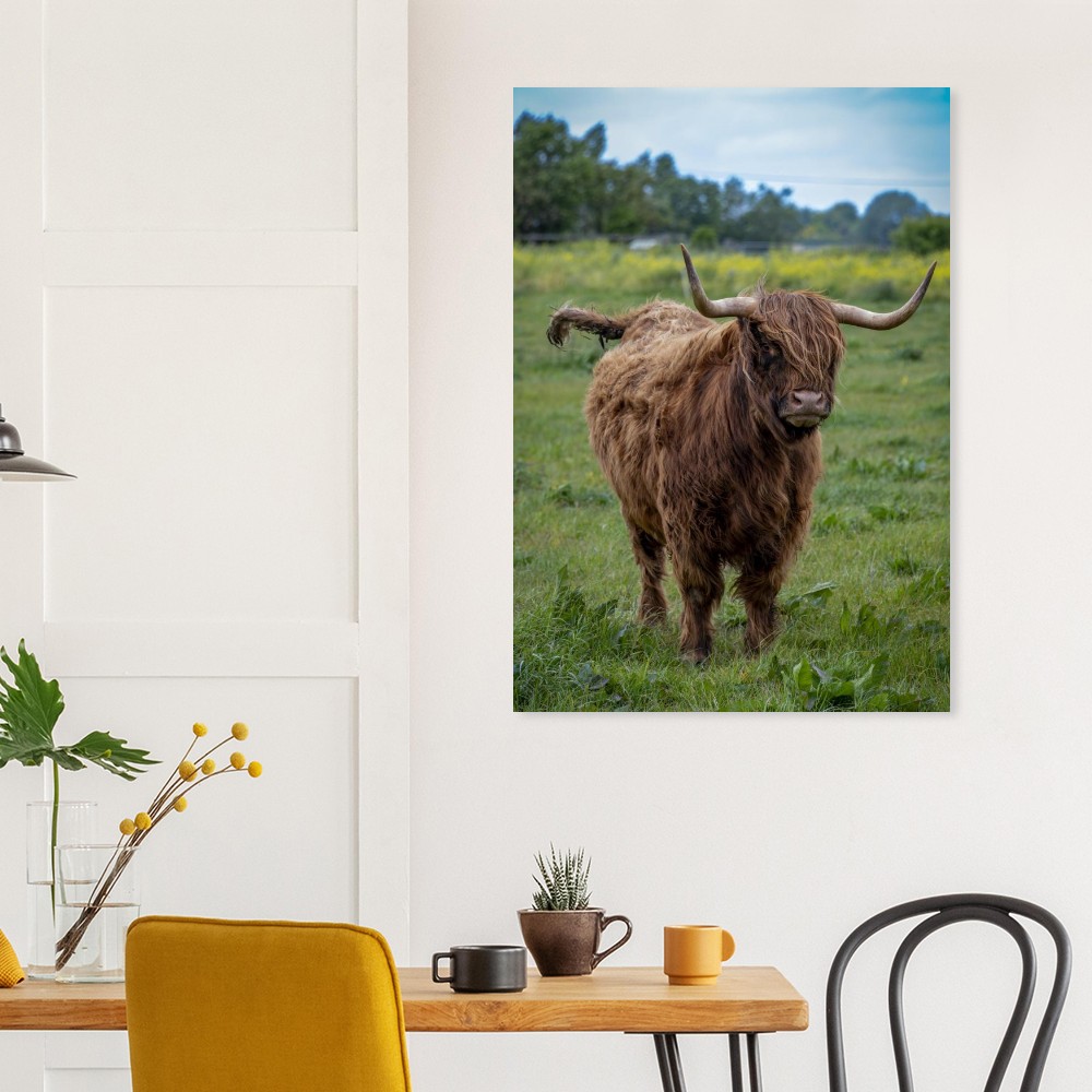Horned Highland Cow - Aluminum fine art print - Image 3
