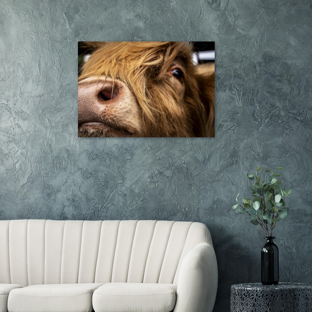 Highland Cow Nose- Aluminum Fine Art Print - Image 6