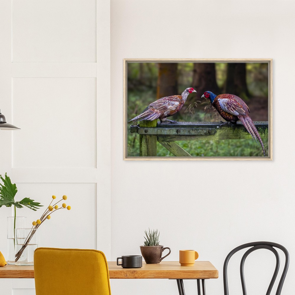 Brace of Pheasants - Framed Canvas - Image 6