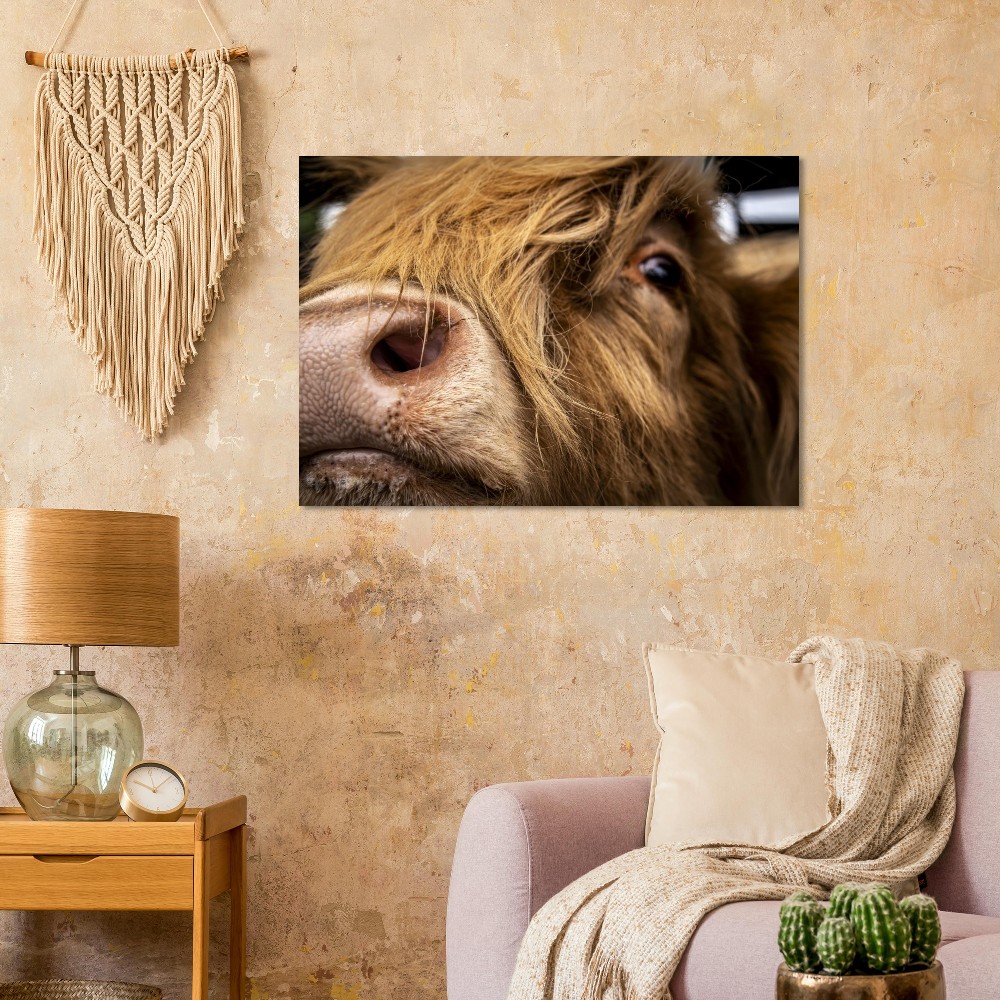 Highland Cow Nose- Aluminum Fine Art Print - Image 2