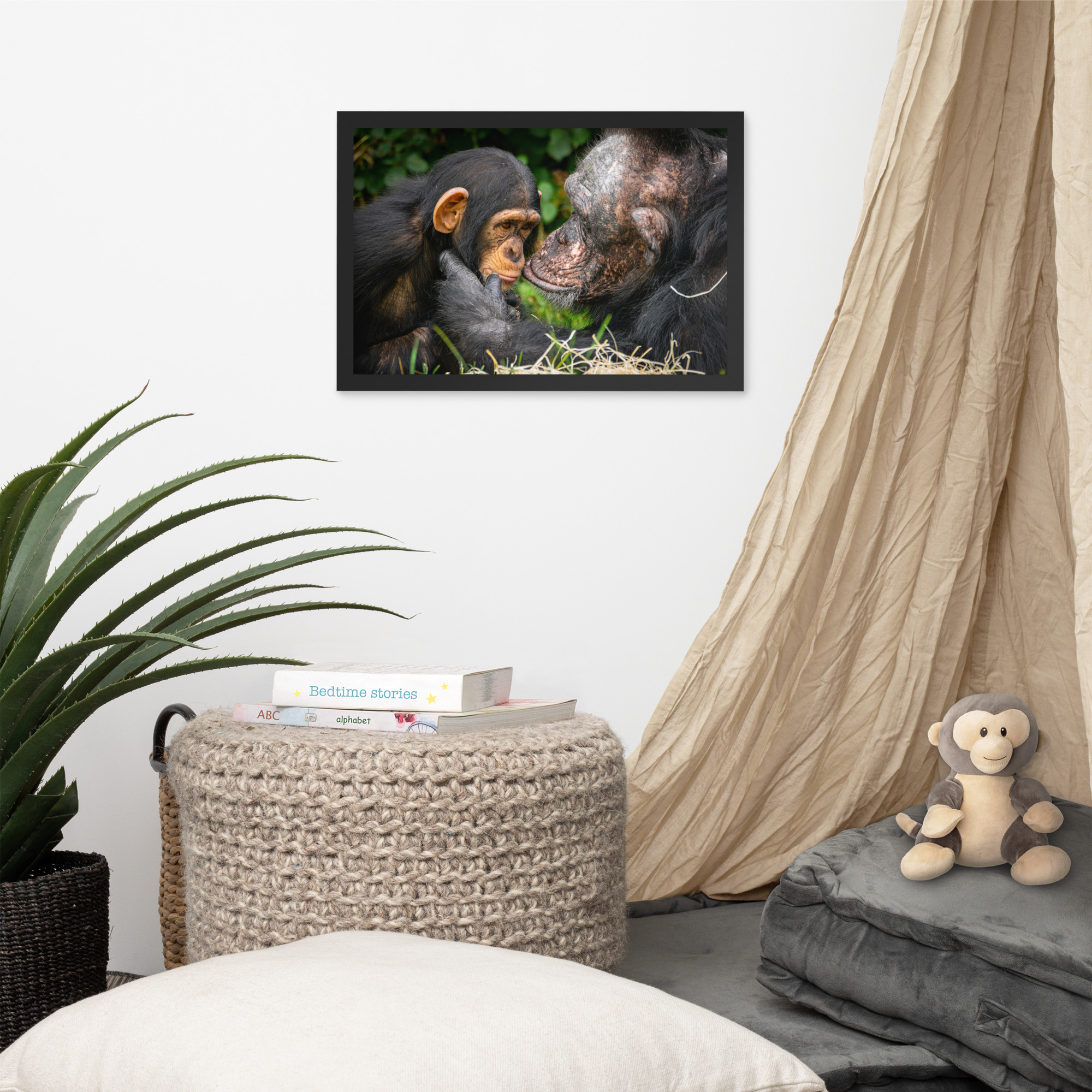 A tender Chimpanzee moment - Framed fine art print - Image 4