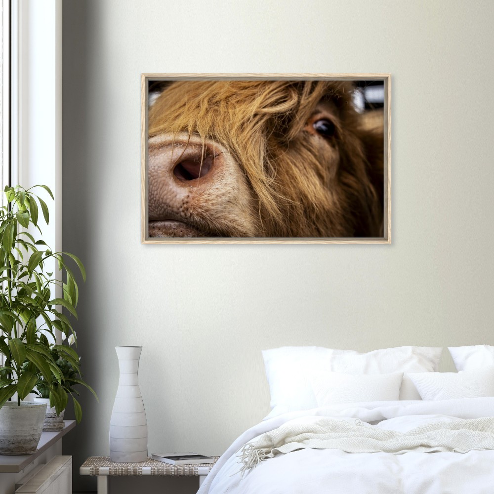 Highland Cow Nose - Framed Canvas - Image 2