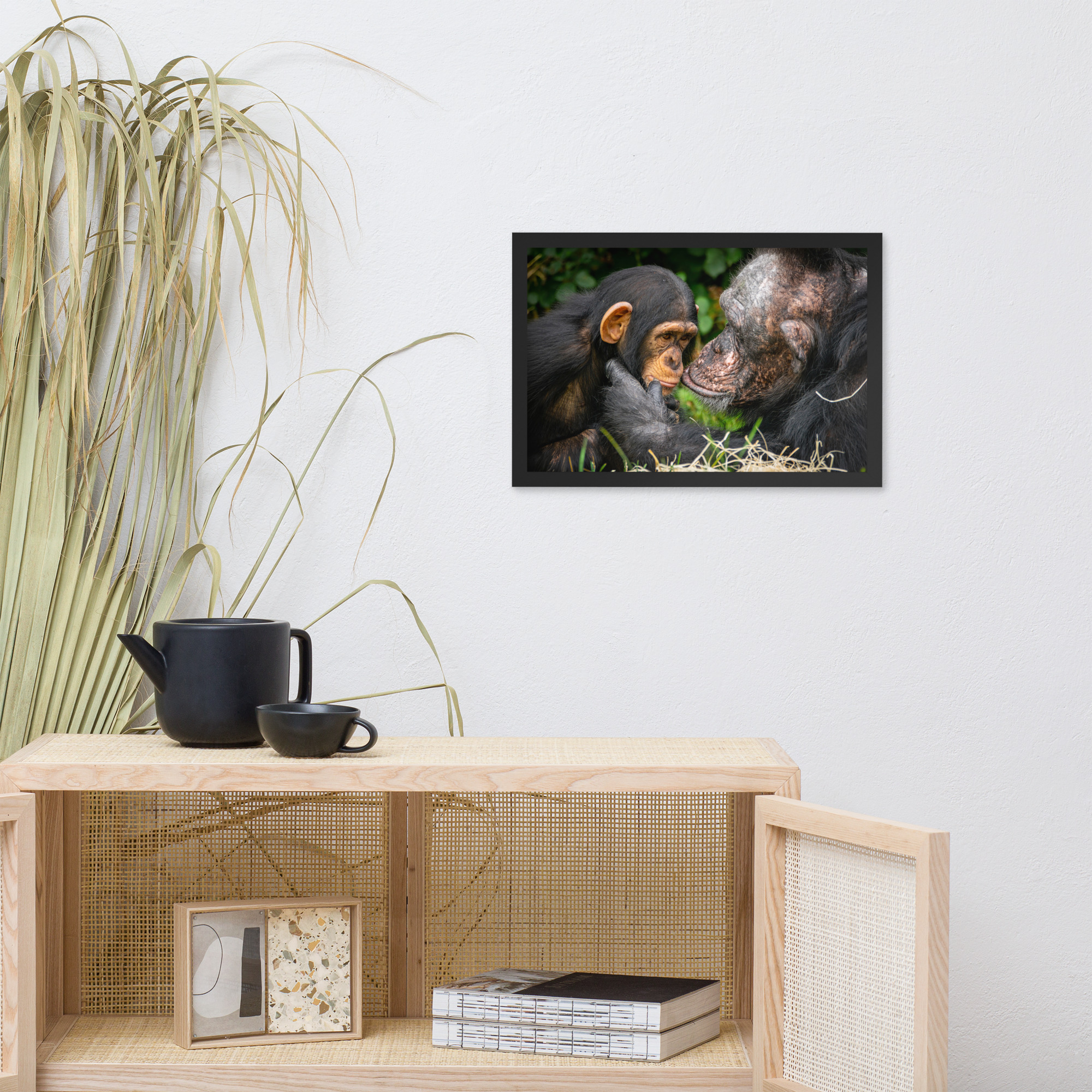 A tender Chimpanzee moment - Framed fine art print - Image 6