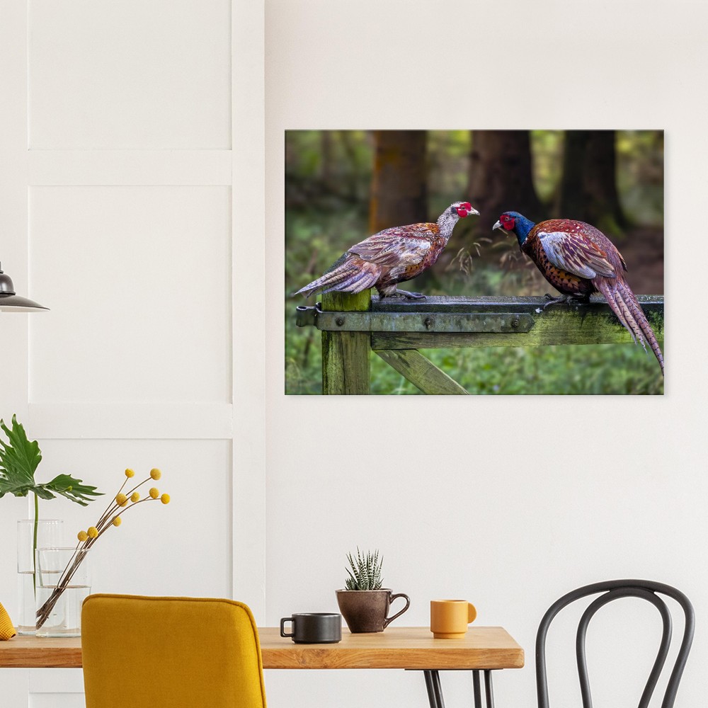A Brace Of Pheasants - Fine art Canvas print - Image 2
