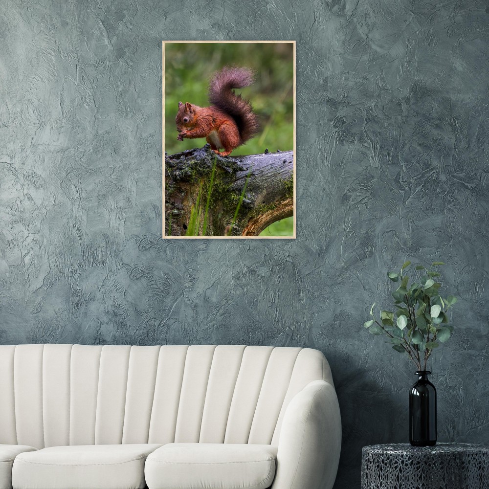 Red Squirrel - Wooden Framed Poster - Image 5