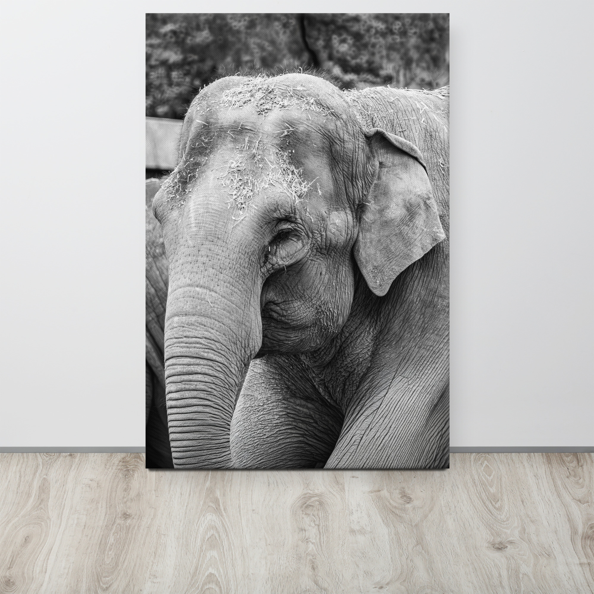 Elephant B&W - Thin canvas fine art print - Image 3