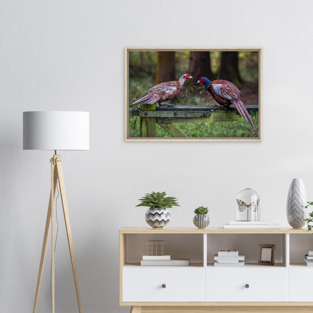 Brace of Pheasants - Framed Canvas - Image 2