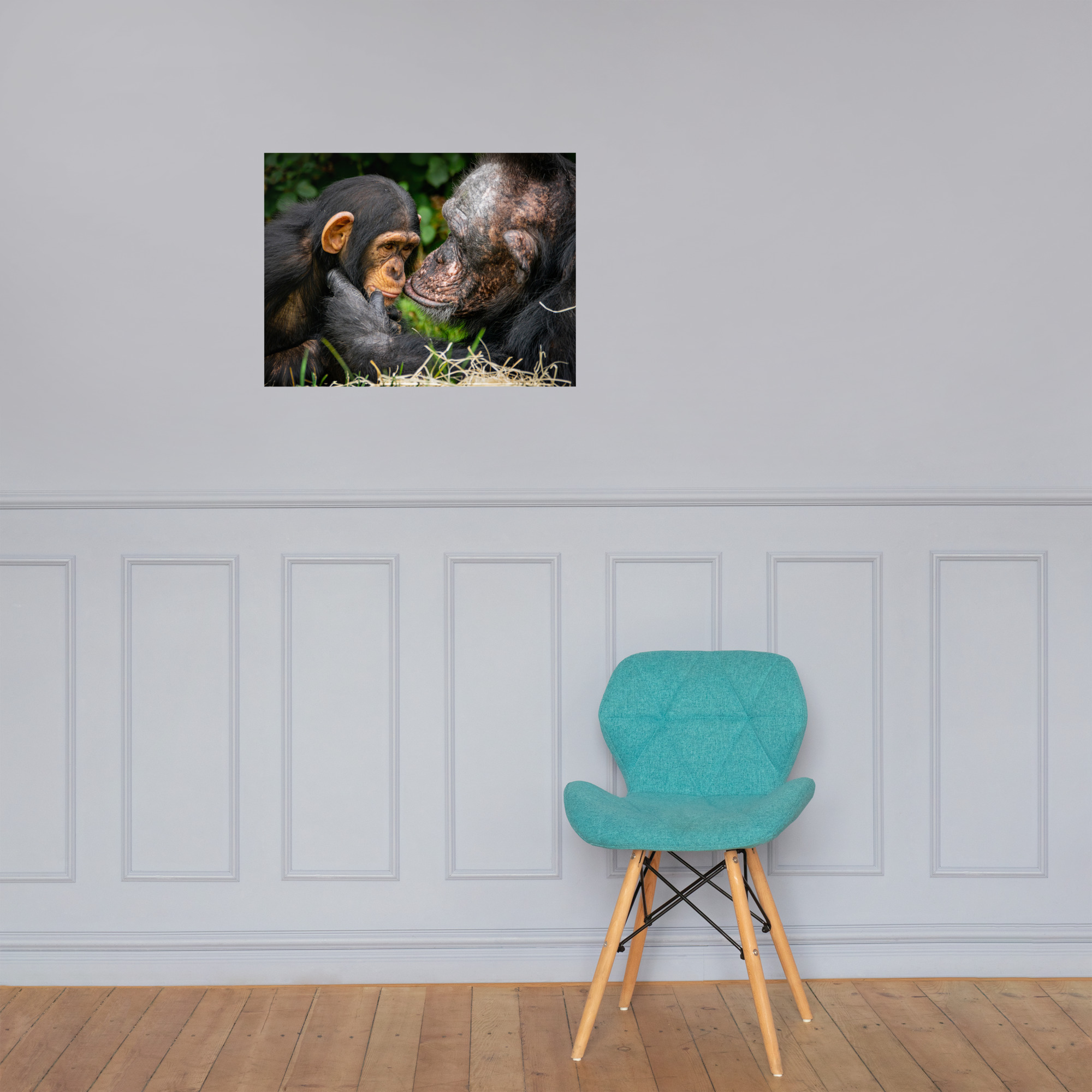 A tender Chimpanzee moment - Fine art print - Image 3