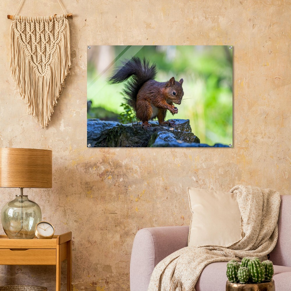 Squirrel With An Acorn - Acrylic Fine Art Print - Image 3