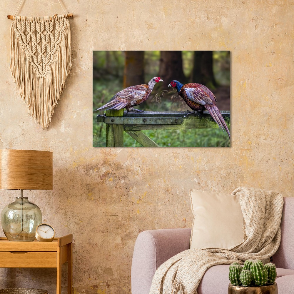 A Brace Of Pheasants - Fine art Canvas print - Image 3