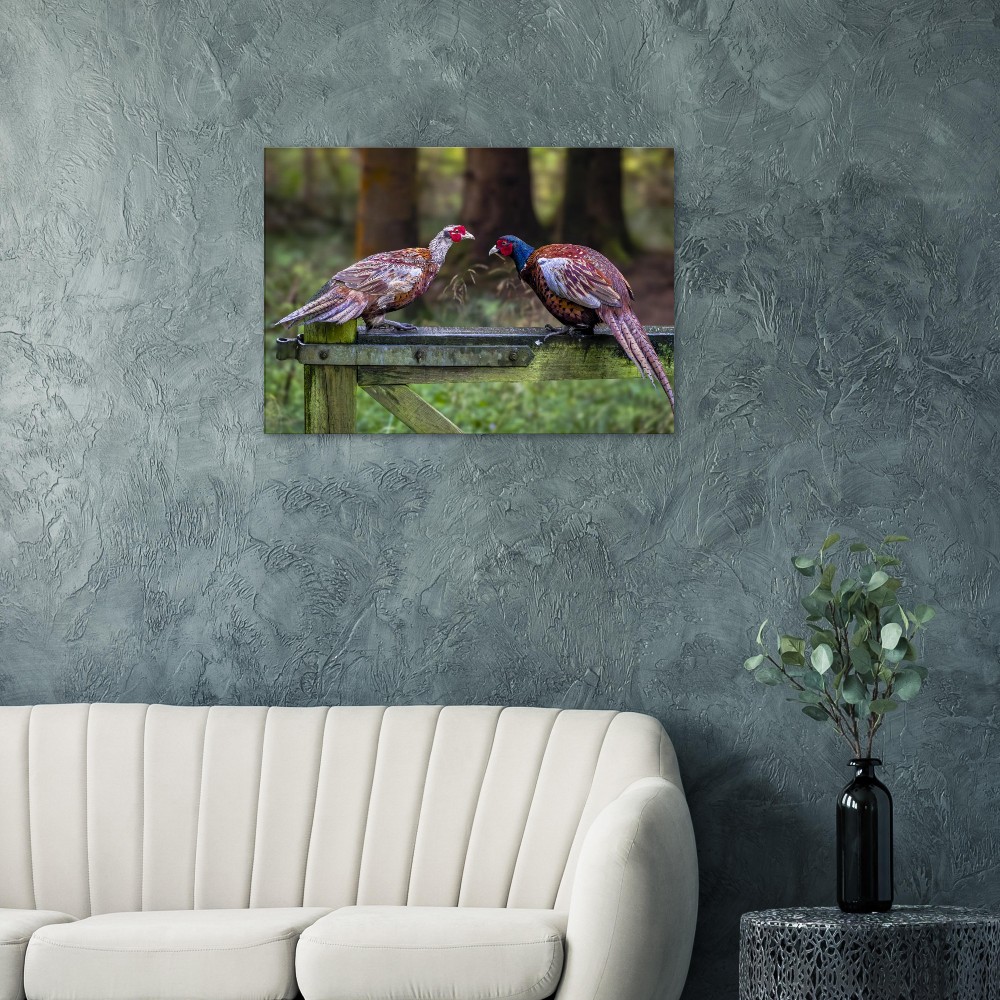 A Brace Of Pheasants - Fine art Canvas print - Image 6