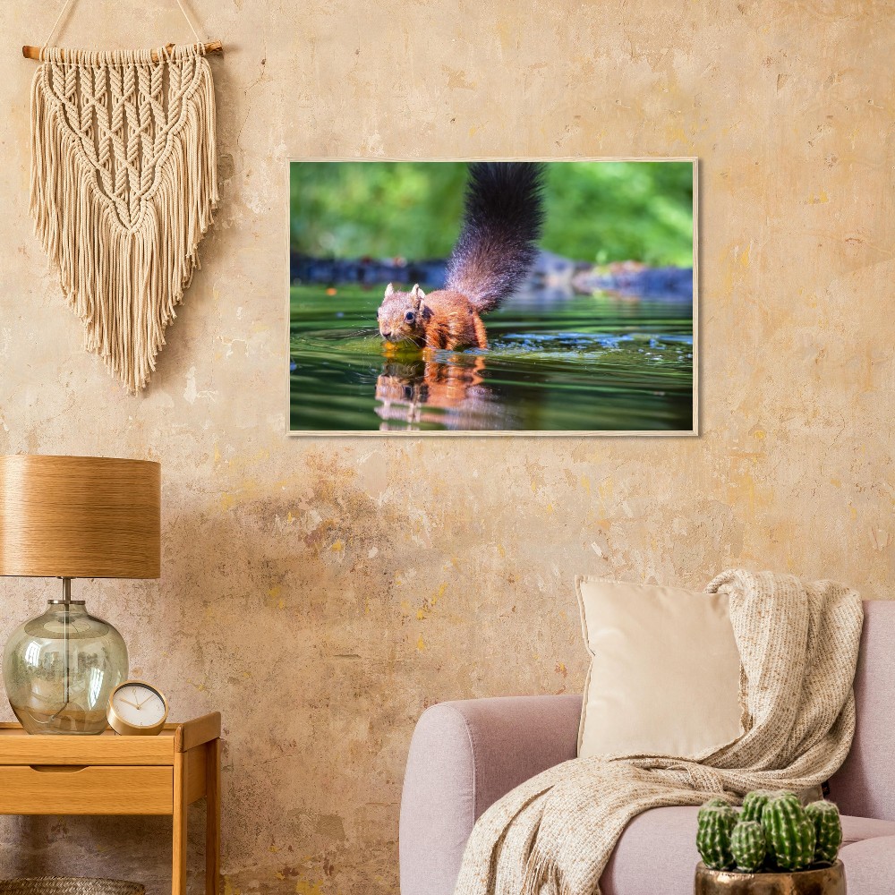 Red Squirrel sun lit in water - Fine art Wooden Framed Poster - Image 3