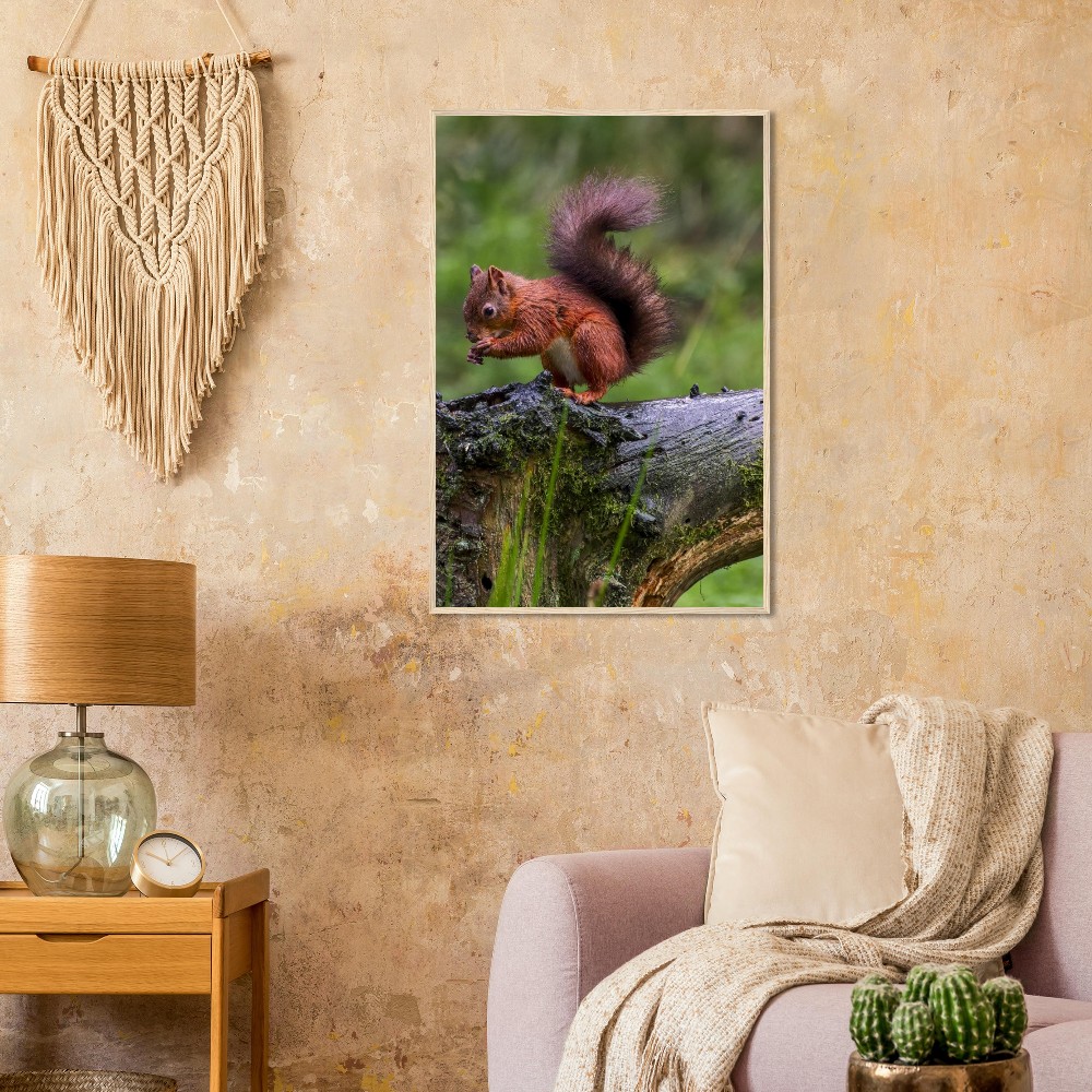 Red Squirrel - Wooden Framed Poster - Image 3