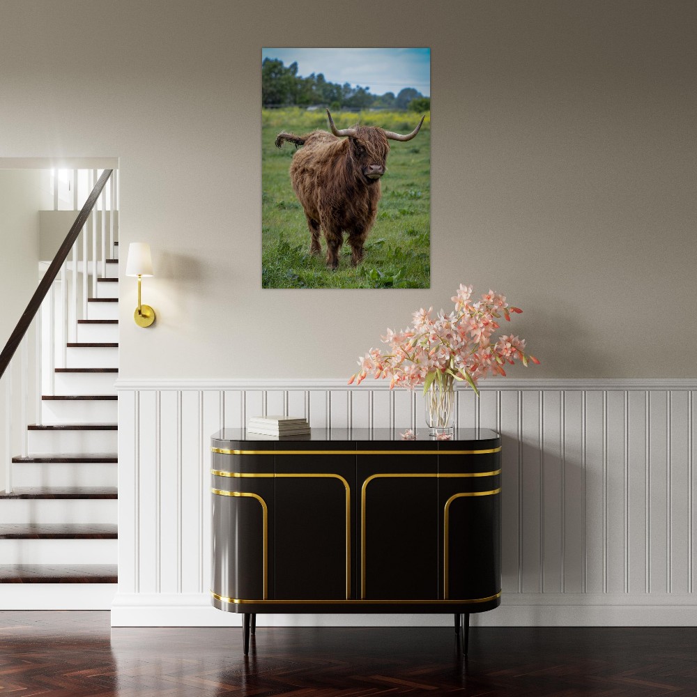 Horned Highland Cow - Aluminum fine art print - Image 7