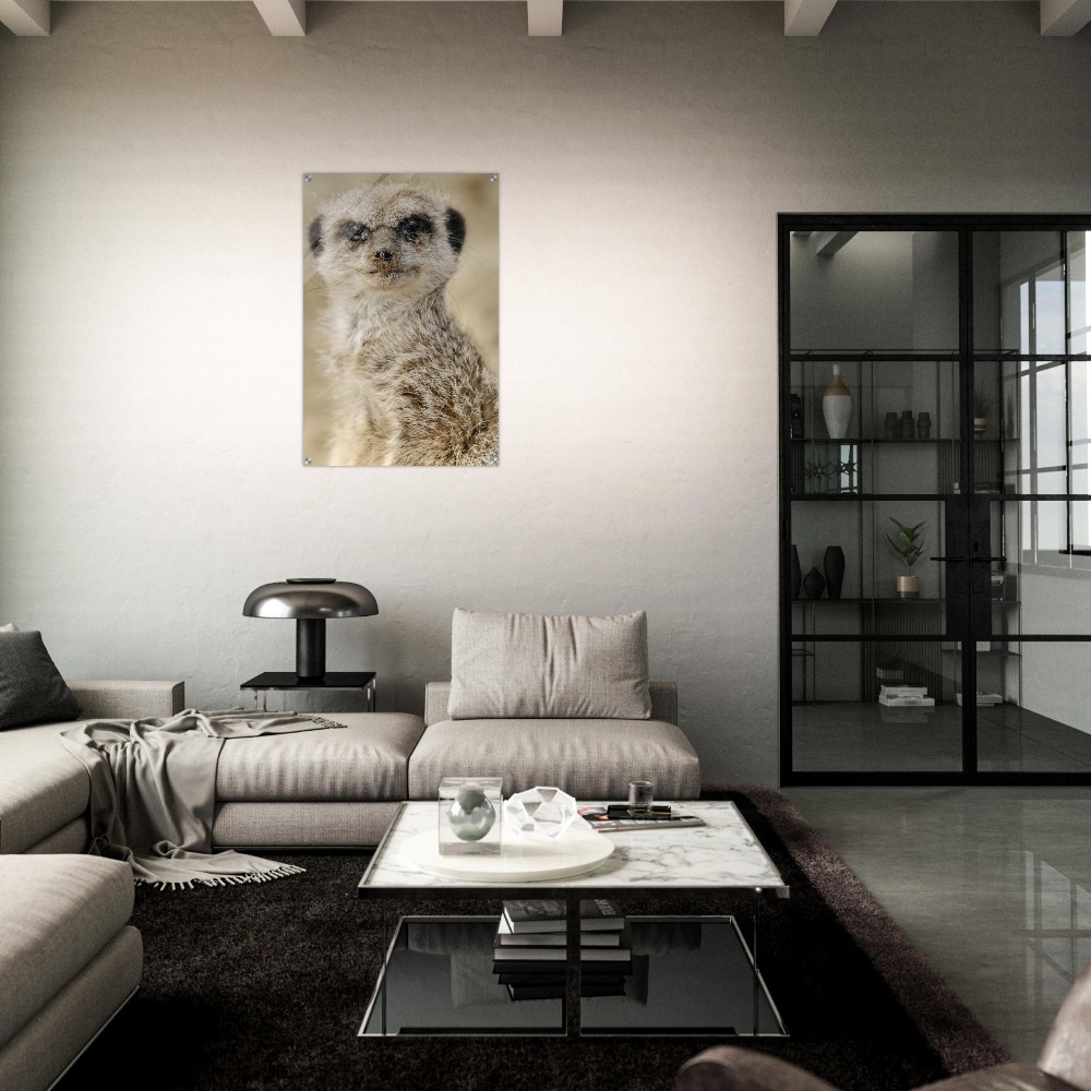 Dreamy Meercat - Acrylic fine art print - Image 7