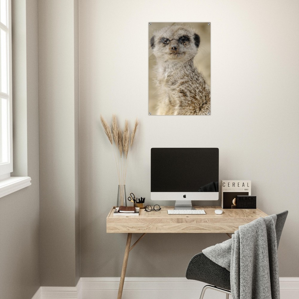 Dreamy Meercat - Acrylic fine art print - Image 2