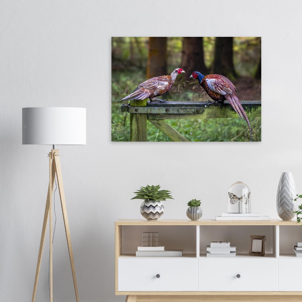 A Brace Of Pheasants - Aluminum Fine Art Print - Image 6