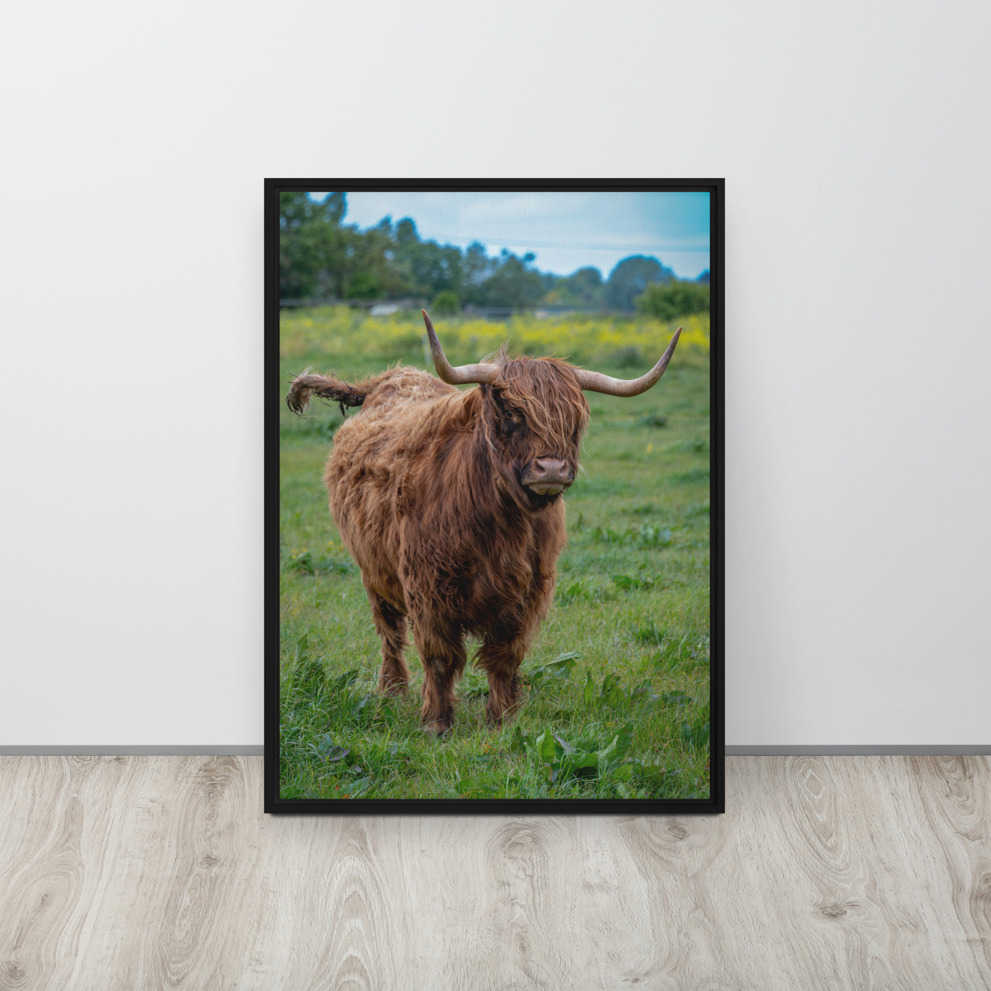 Horned Highland Cow - Framed canvas fine art print - Image 3