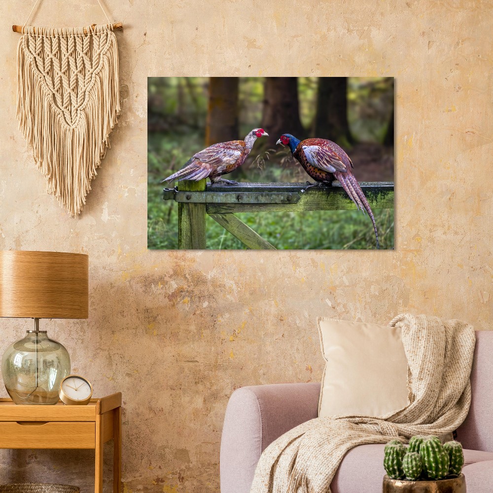 A Brace Of Pheasants - Aluminum Fine Art Print - Image 4