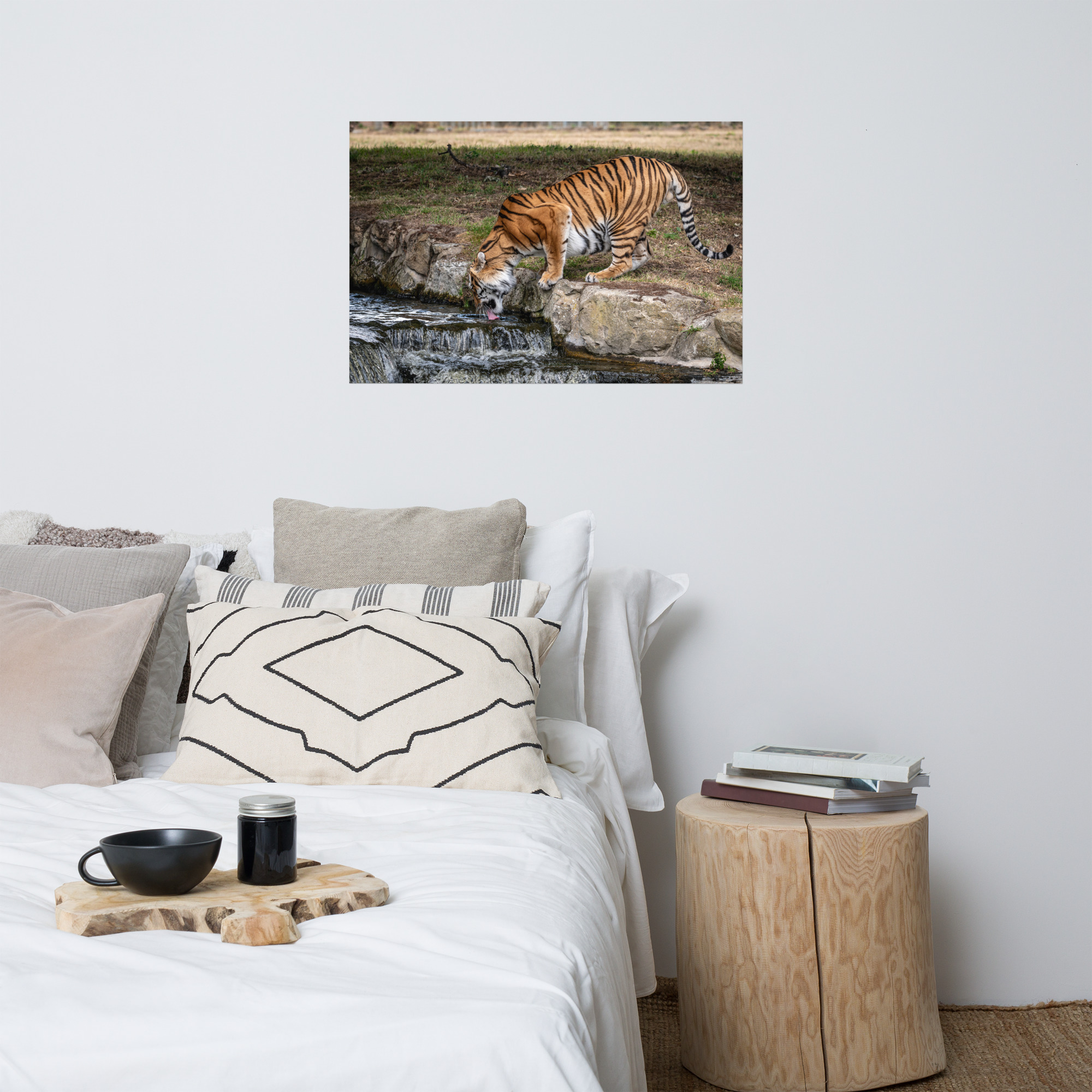 Amur Tiger dinking - Fine art print - Image 4