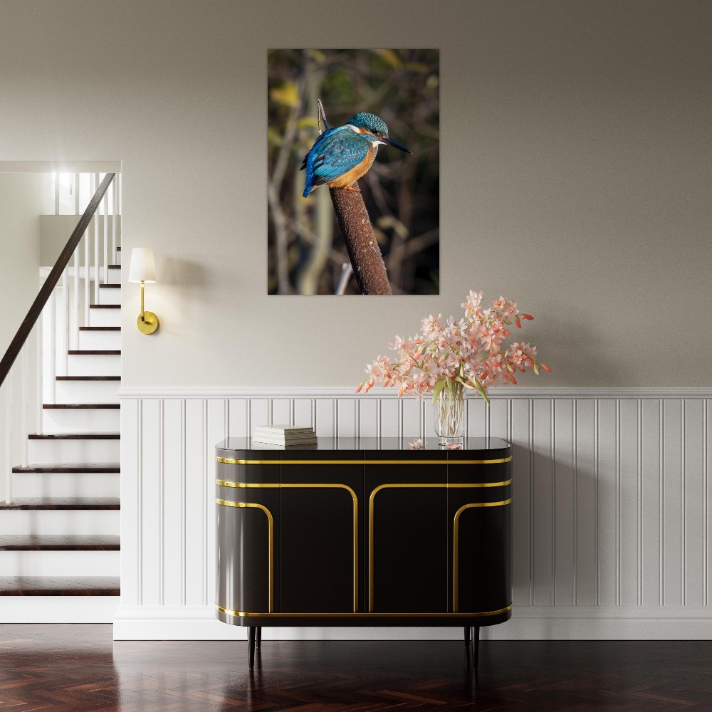 Kingfisher on a Bullrush - Aluminum fine art print - Image 6