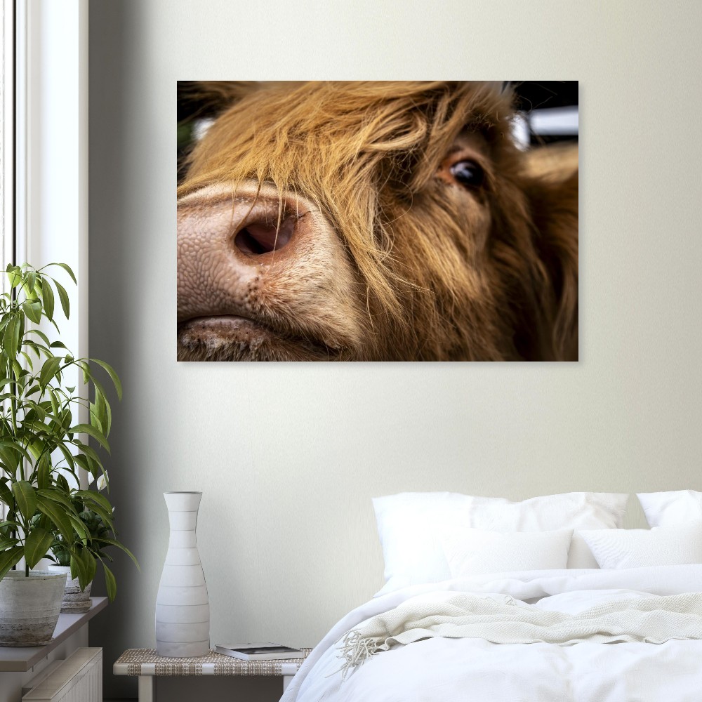 Highland Cow Nose- Aluminum Fine Art Print - Image 5