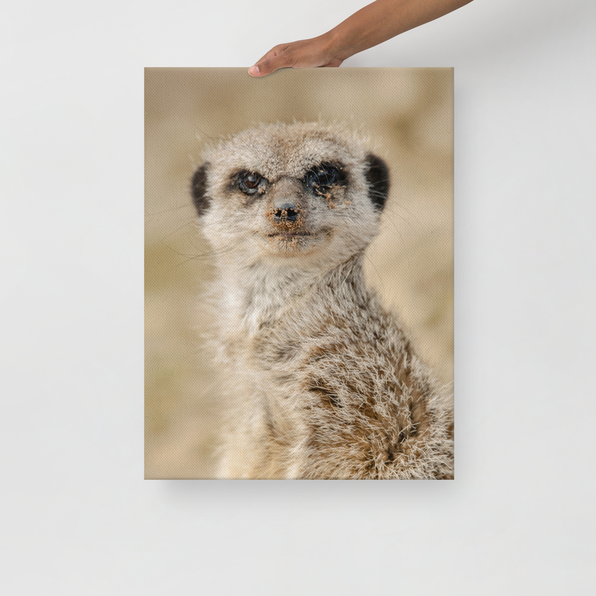 Dream Meercat - Thin fine art canvas - Image 2