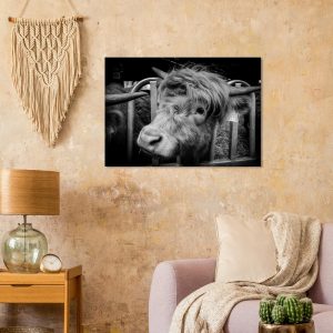 Highland Cow B&W - Fine art Canvas print