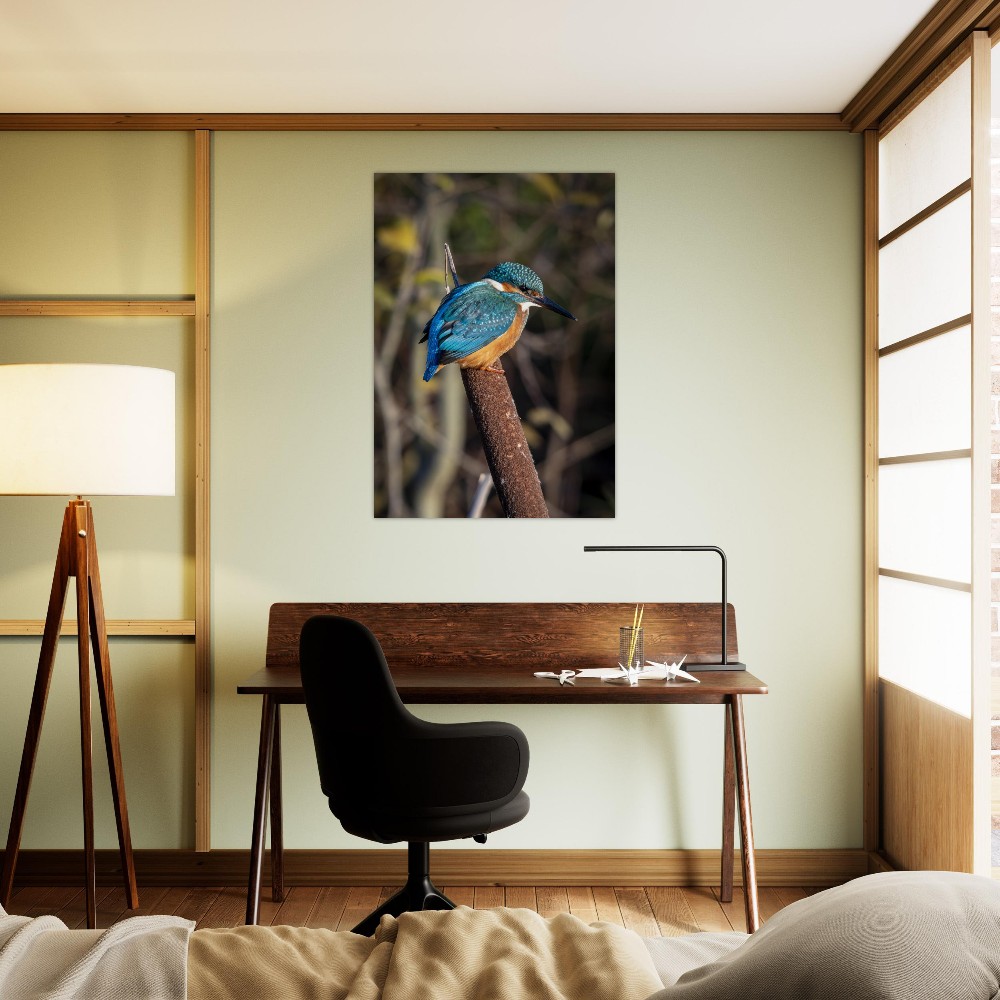 Kingfisher on a Bullrush - Aluminum fine art print - Image 2
