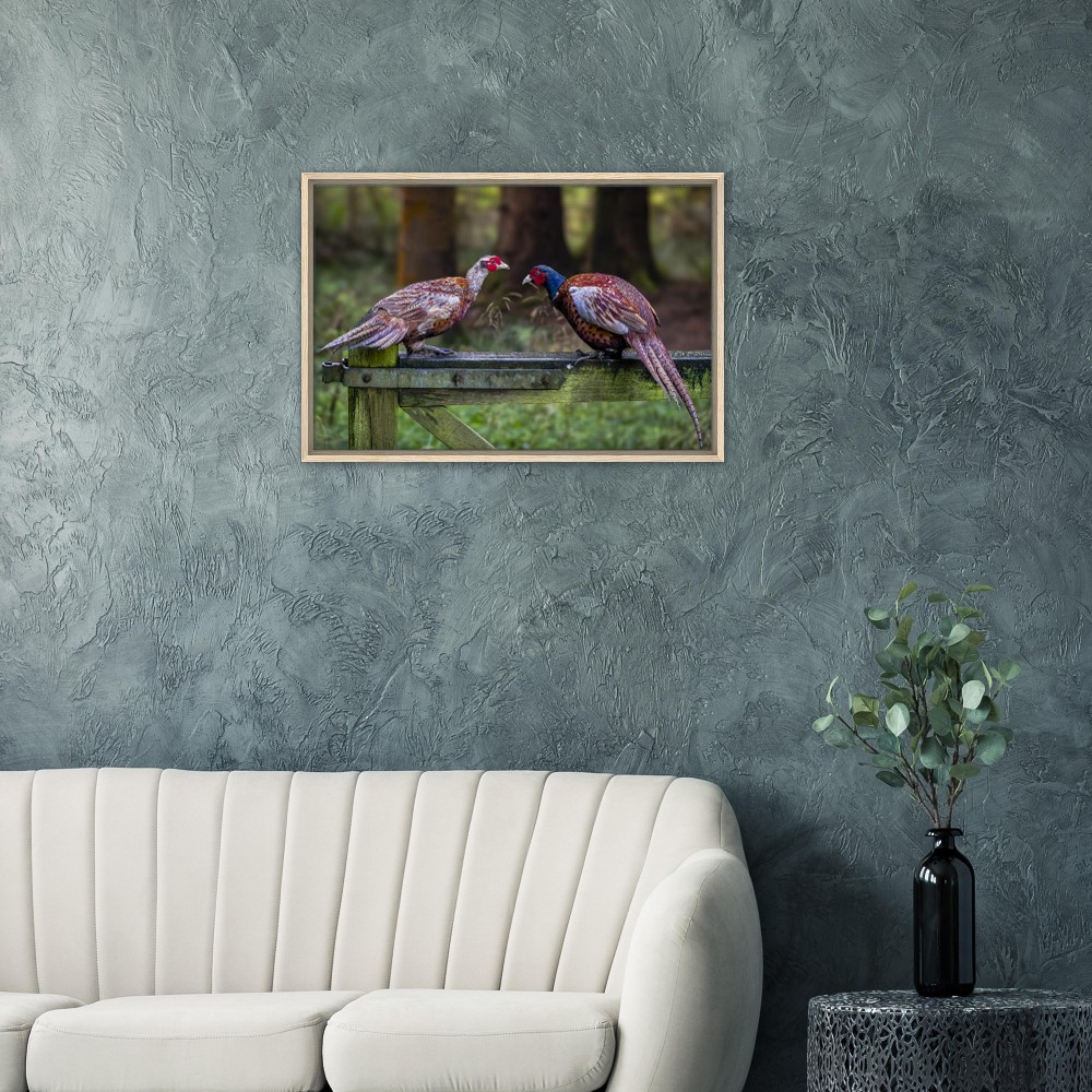 Brace of Pheasants - Framed Canvas - Image 4