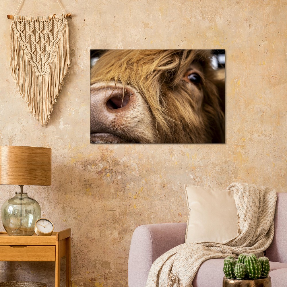 Highland Cow Nose - Fine art Canvas print - Image 5