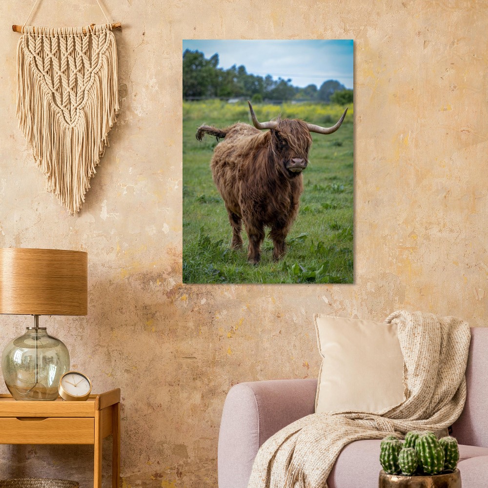 Horned Highland Cow - Aluminum fine art print - Image 4