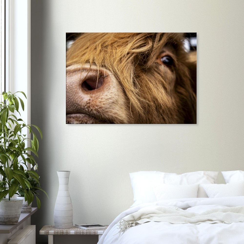 Highland Cow Nose - Fine art Canvas print - Image 6