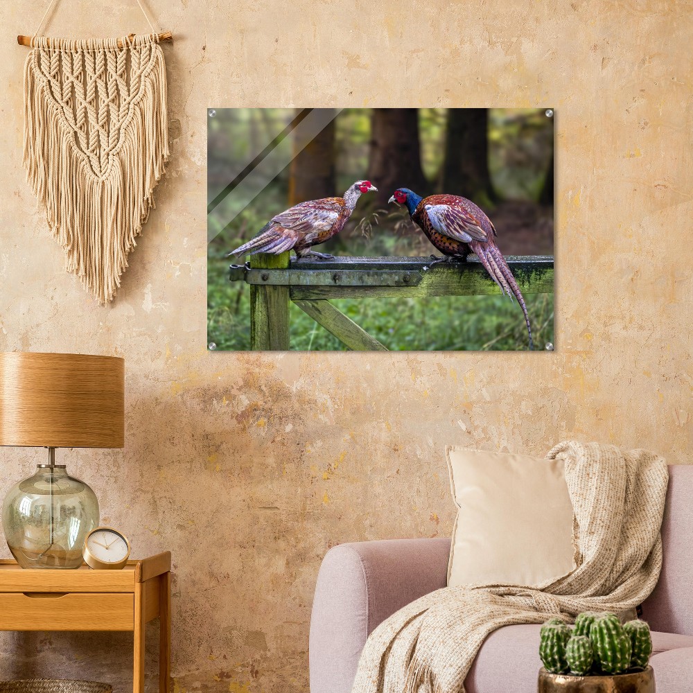 A Brace of Pheasants - Acrylic Fine Art Print - Image 6