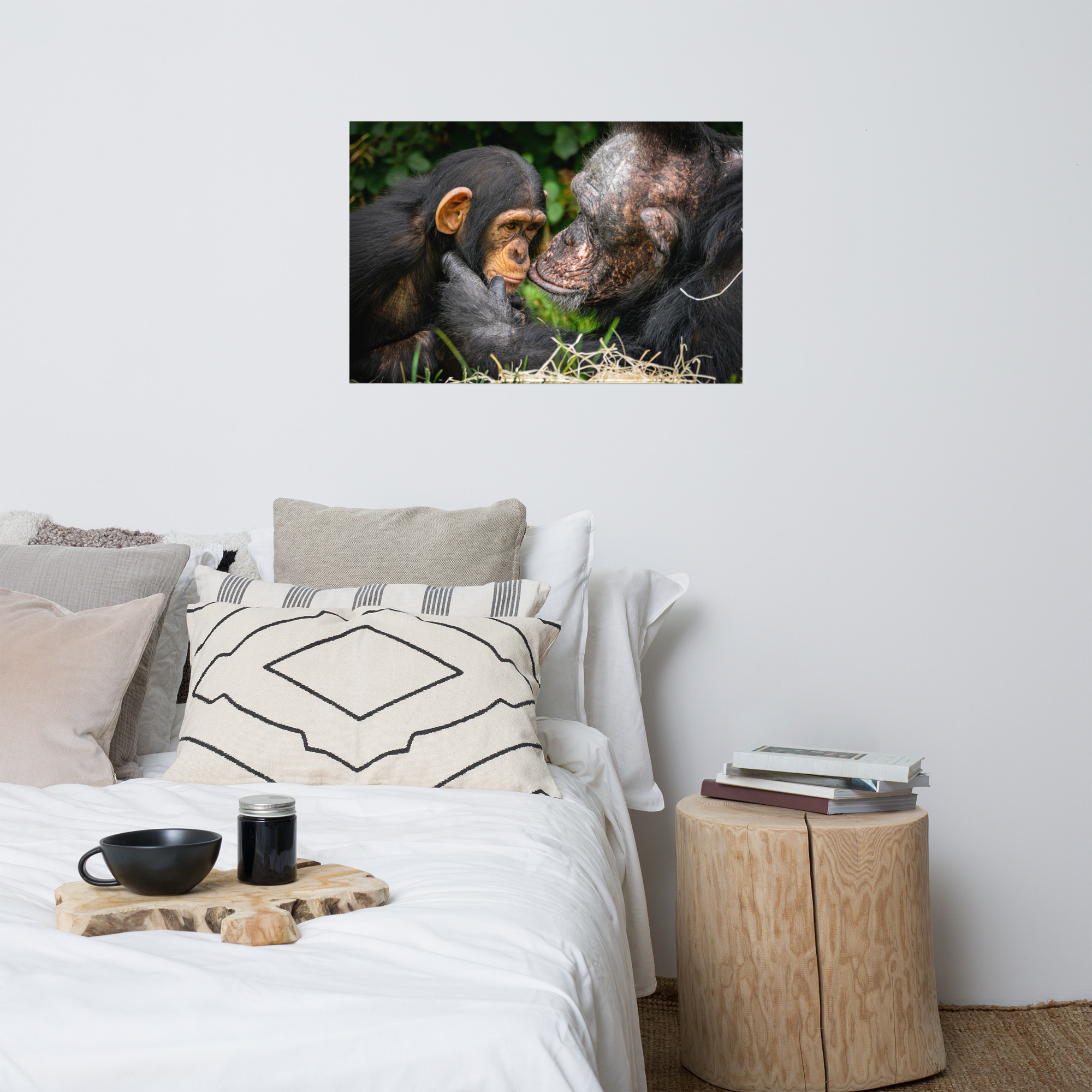 A tender Chimpanzee moment - Fine art print - Image 4