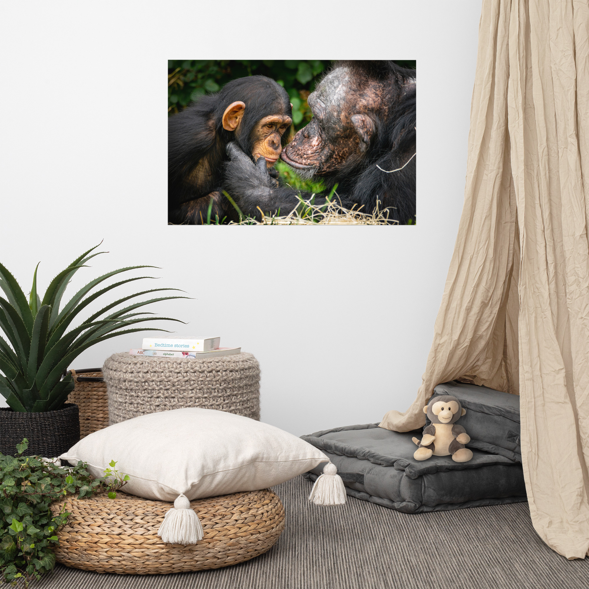 A tender Chimpanzee moment - Fine art print - Image 5