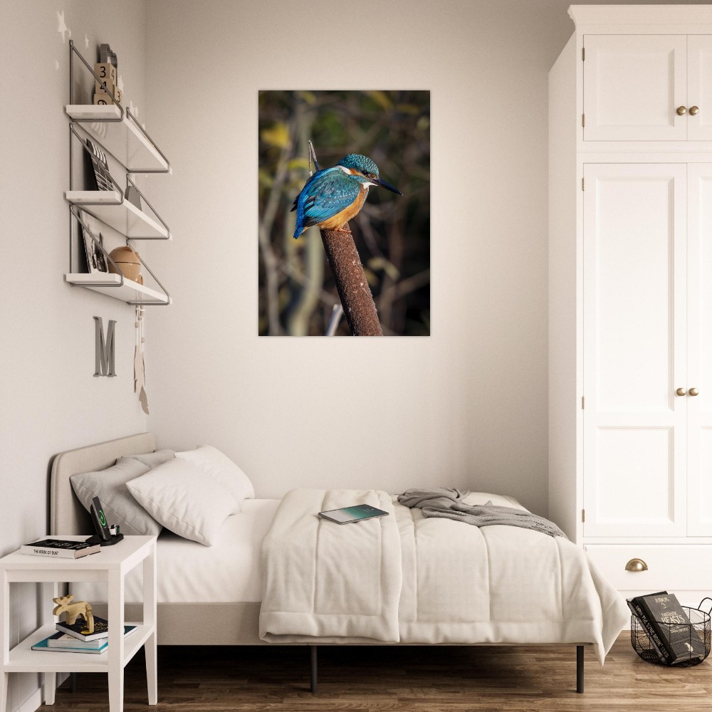 Kingfisher on a Bullrush - Aluminum fine art print - Image 4
