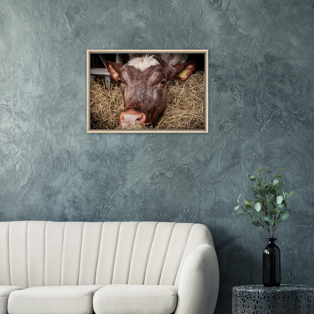 Hungry Cow - Framed Canvas - Image 6