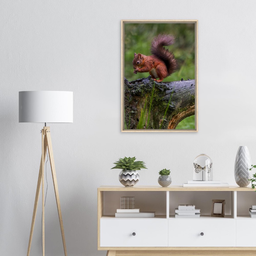 Red Squirrel - Framed Canvas - Image 5