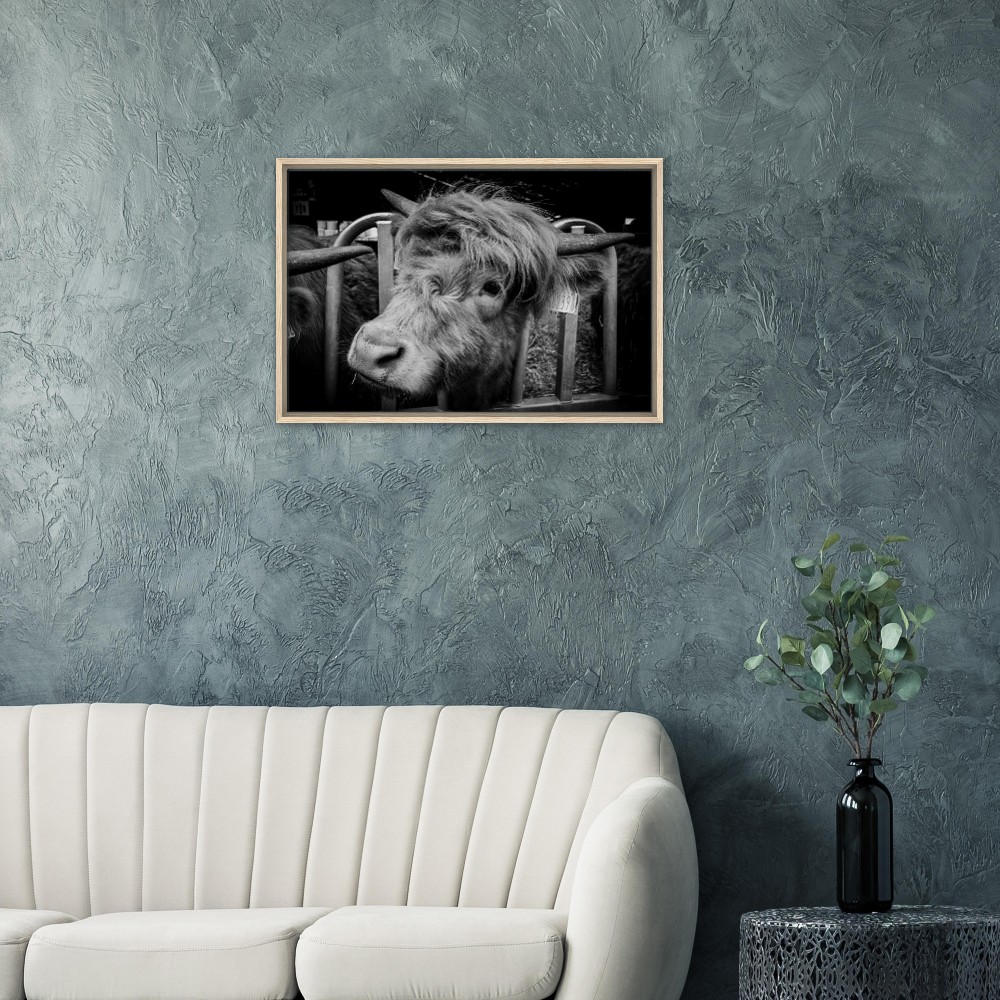 Highland Cow B&W - Framed Canvas - Image 4