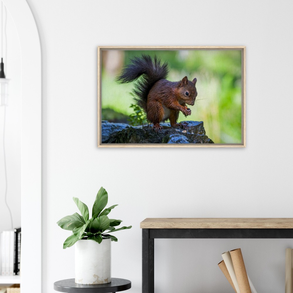 Red Squirrel With An Acorn - Fine art Framed Canvas - Image 5