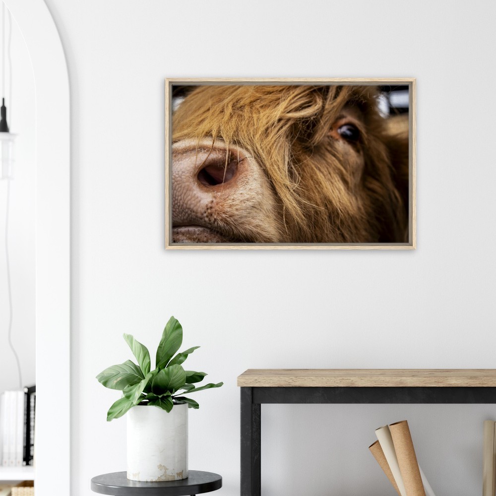 Highland Cow Nose - Framed Canvas - Image 6
