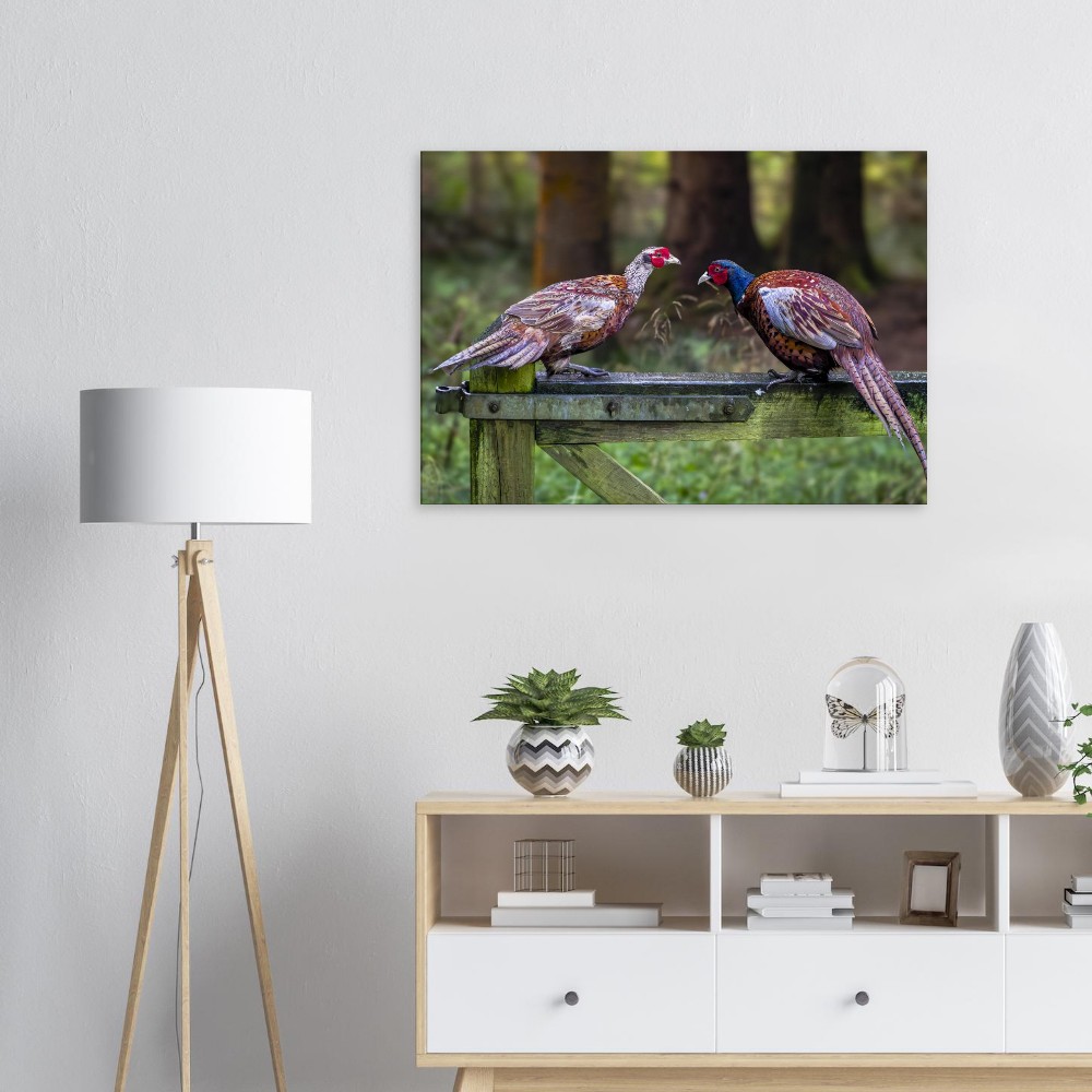 A Brace Of Pheasants - Fine art Canvas print - Image 5