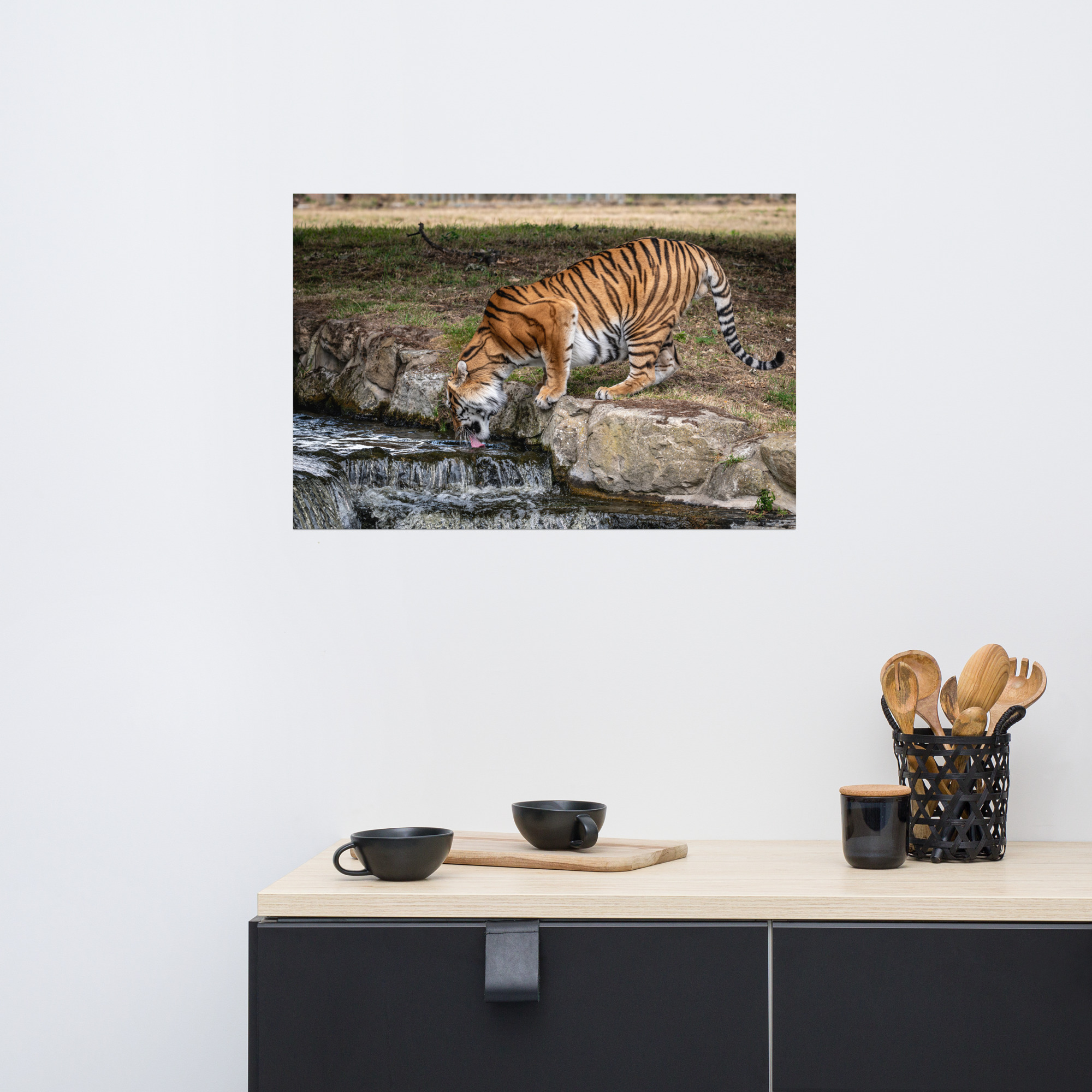 Amur Tiger dinking - Fine art print - Image 6