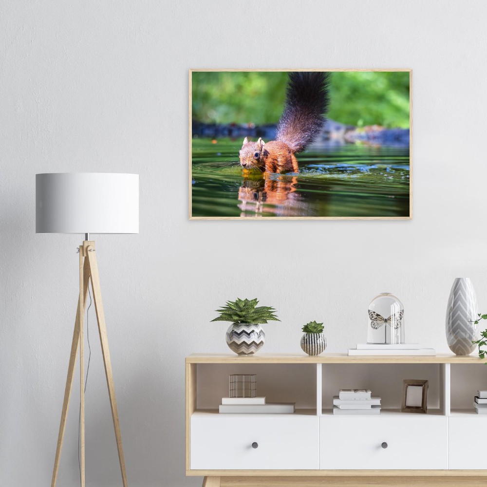 Red Squirrel sun lit in water - Fine art Wooden Framed Poster - Image 5